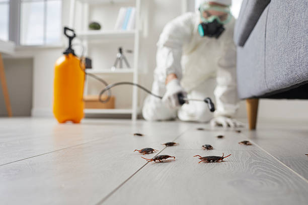 Commercial Kitchen Cockroach Control in Midlothian